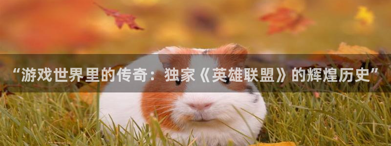 杜邦娱乐平台负责人：“游戏世界里的传奇：独家《英雄联盟》的辉