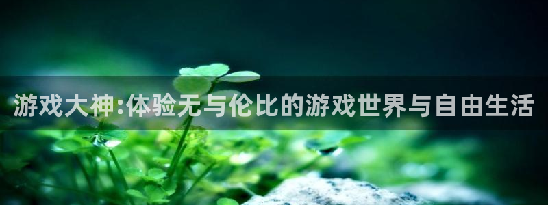 杜邦娱乐是什么：游戏大神:体验无与伦比的游戏世界与自由生活