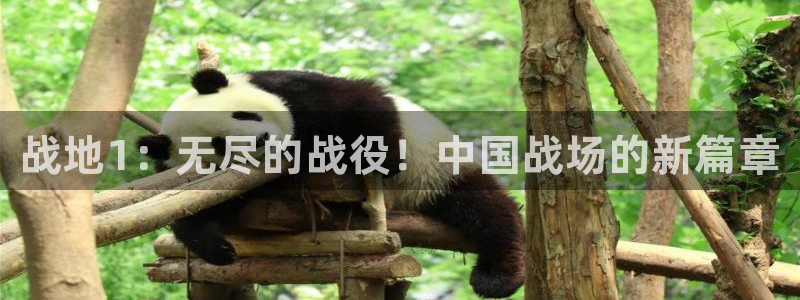 杜邦娱乐登陆：战地1：无尽的战役！中国战场的新篇章