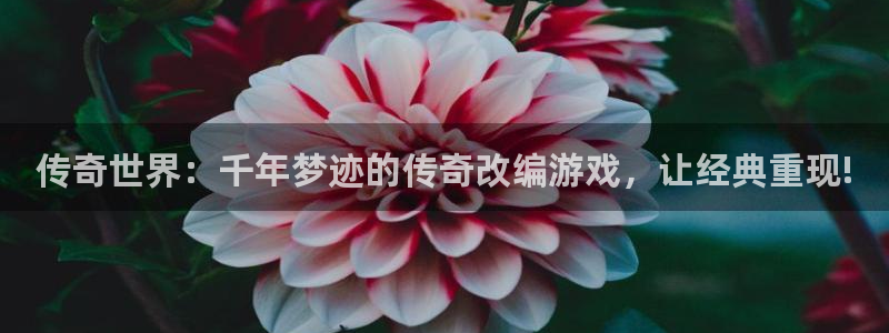 杜邦娱乐科技：传奇世界：千年梦迹的传奇改编游戏，让经典重现!