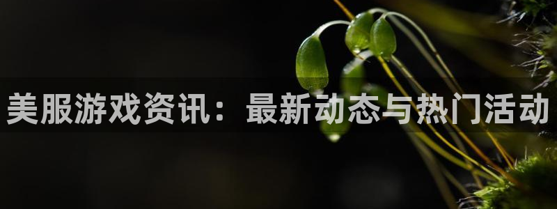 杜邦娱乐登录网址：美服游戏资讯：最新动态与热门活动