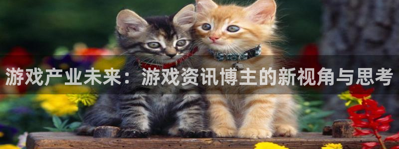 杜邦娱乐平台注册：游戏产业未来：游戏资讯博主的新视角与思考