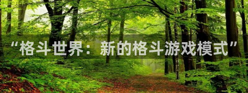 杜邦娱乐娱乐：“格斗世界：新的格斗游戏模式”