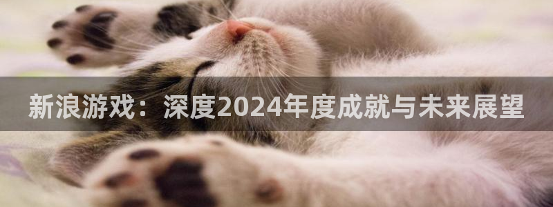 杜邦娱乐登陆：新浪游戏：深度2024年度成就与未来展望