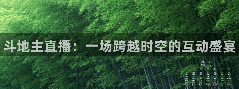 五星体育频道节目单