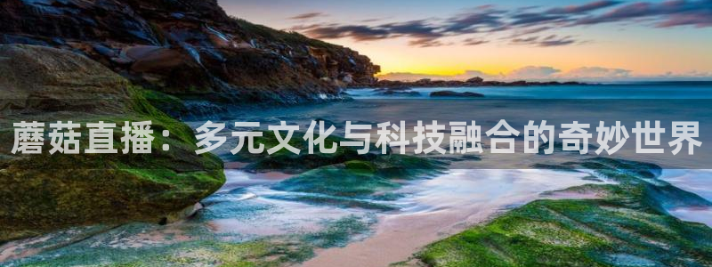 上海五星体育今晚的节目