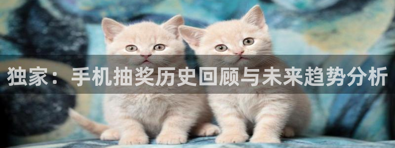 上海五星体育台直播