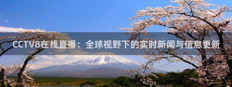 上海五星体育频道直播