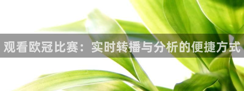 五星体育在哪看直播