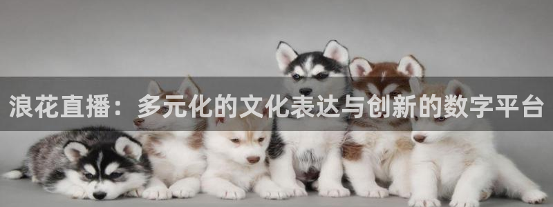 360五星体育直播网