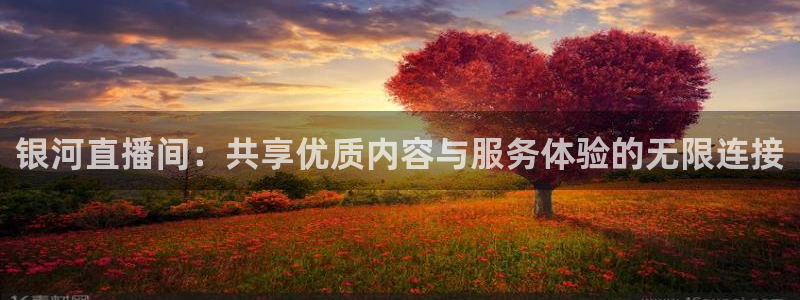 五星体育现场直播：银河直播间：共享优质内容与服务体验的无限连接