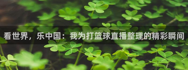 五星体育电视猫：看世界，乐中国：我为打篮球直播整理的精彩瞬间
