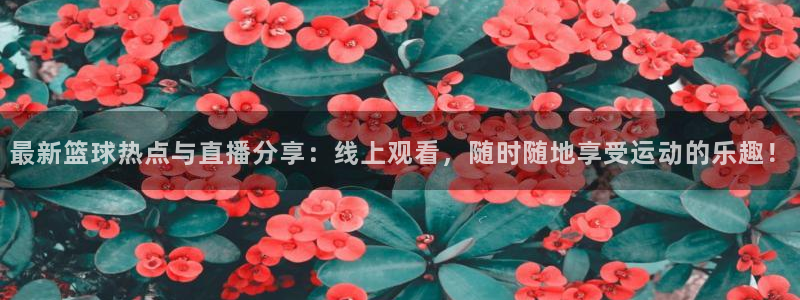 张效玮 五星体育：最新篮球热点与直播分享：线上观看，随时随地享受运动的乐趣！