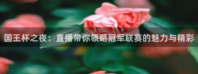 f1直播五星体育：国王杯之夜：直播带你领略冠军联赛的魅力与精彩