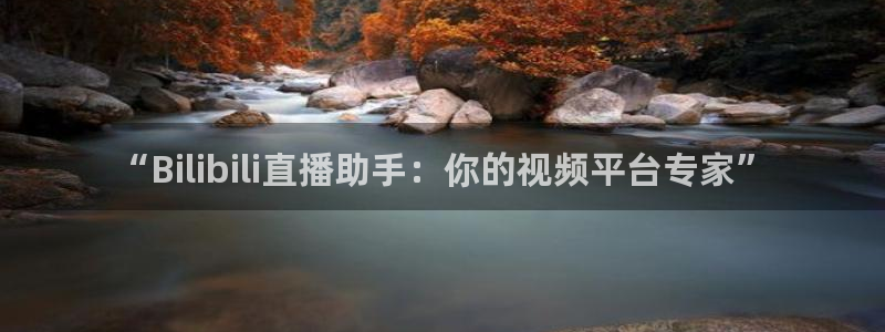 上海五星体育节目：“Bilibili直播助手：你的视频平台专家”