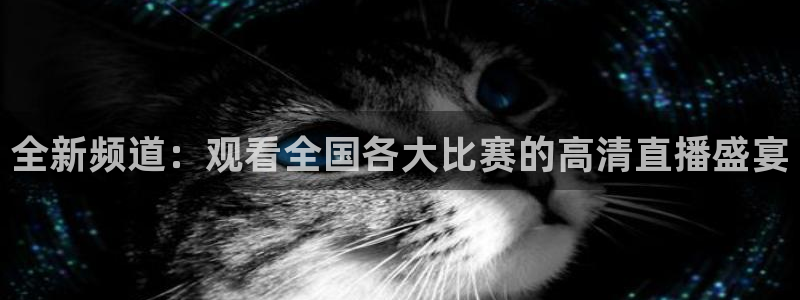 五星体育回放：全新频道：观看全国各大比赛的高清直播盛宴